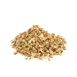 Zeige Details für Zucchini - 500 g 41594